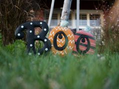 Toy Poodle: Küçük Dostlarınız Hakkında Bilmeniz Gerekenler evciilplatform1