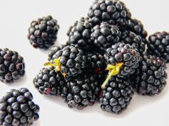 Böğürtlen Meyvesi: Faydaları, Yetiştirilmesi ve Besin Değerleri blackberry fruit